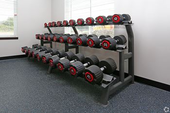 A rack of dumbbells in a gym